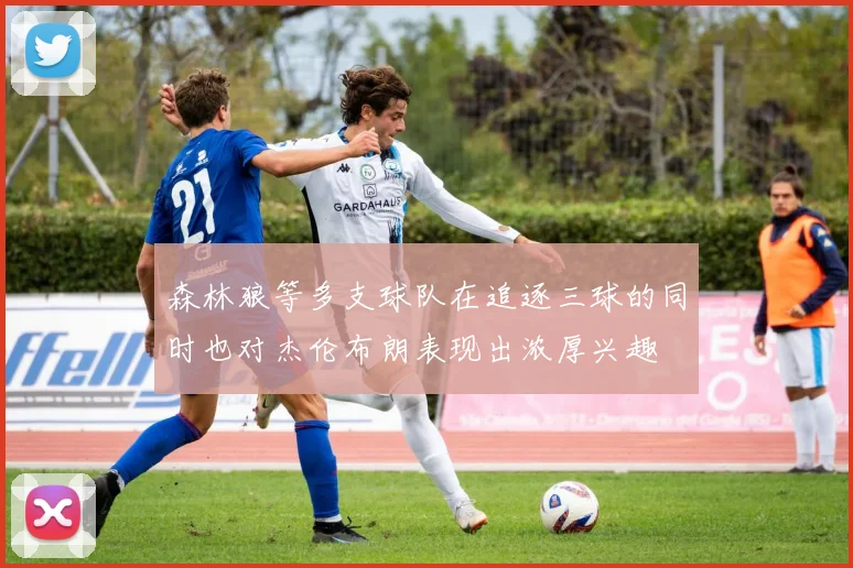 森林狼等多支球队在追逐三球的同时也对杰伦布朗表现出浓厚兴趣