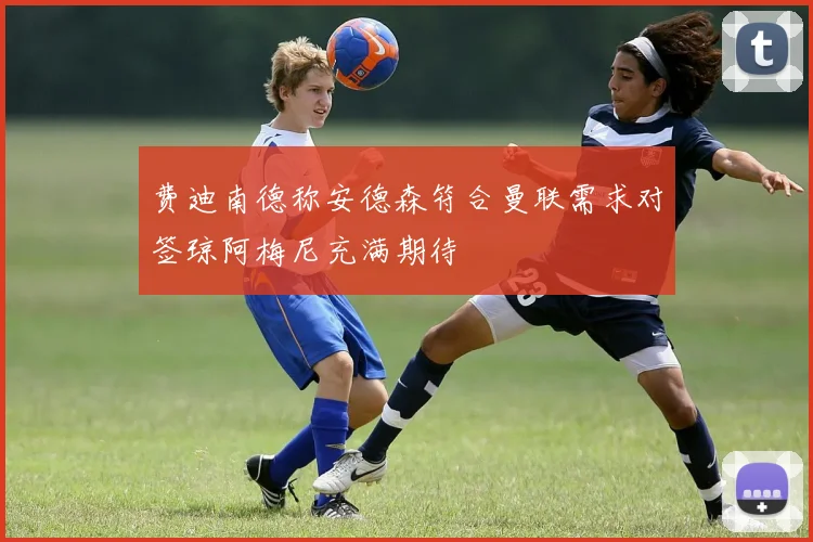 费迪南德称安德森符合曼联需求对签琼阿梅尼充满期待